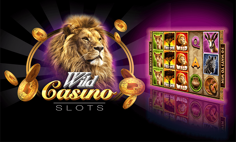 wildcasino2